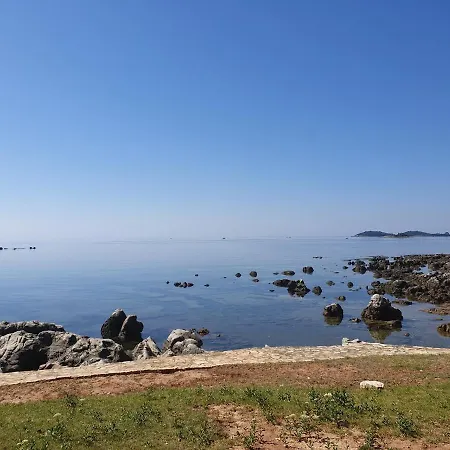 Ivo Croatia Rovigno