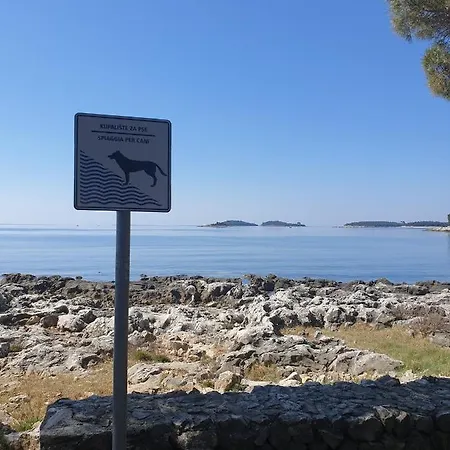 Appartamento Ivo Croatia Rovigno