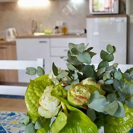 Apartment Ivo Croatia *