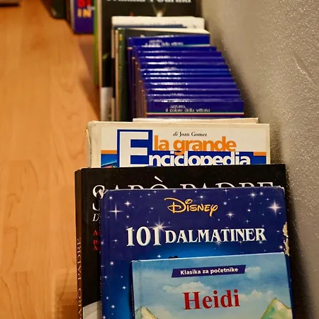 公寓 Ivo Croatia 罗维尼