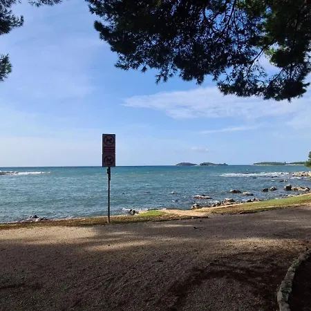 公寓 Ivo Croatia *
